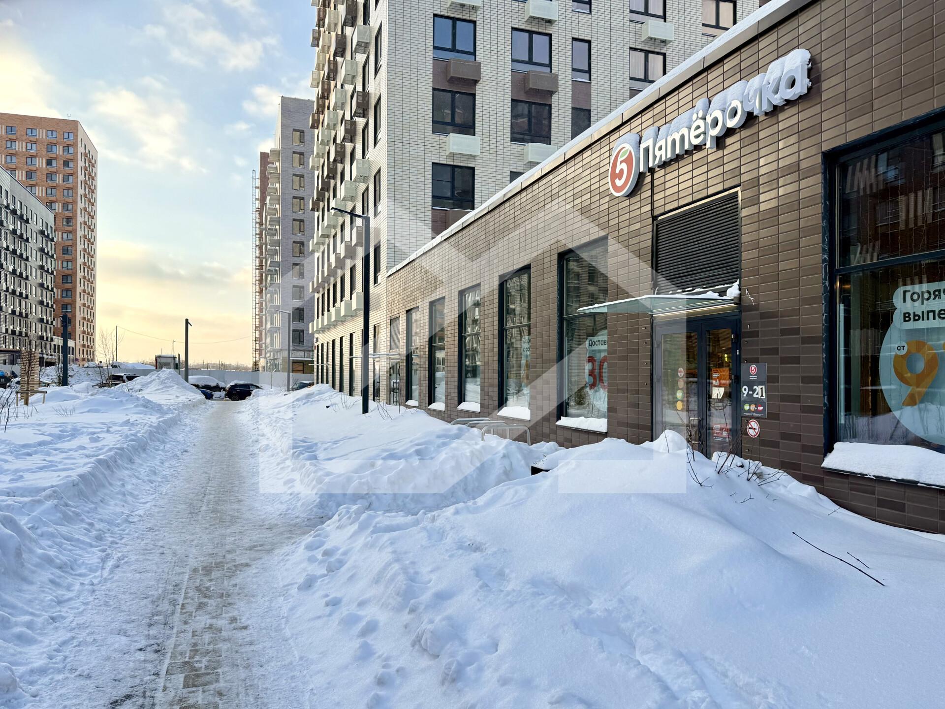 Копия IMG_8460.jpeg