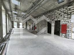 WhatsApp Image 2025-08-14 at 14.18.01 (1).jpeg