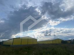 WhatsApp Image 2025-08-12 at 16.41.02.jpeg