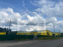 WhatsApp Image 2025-08-12 at 16.41.01 (1).jpeg