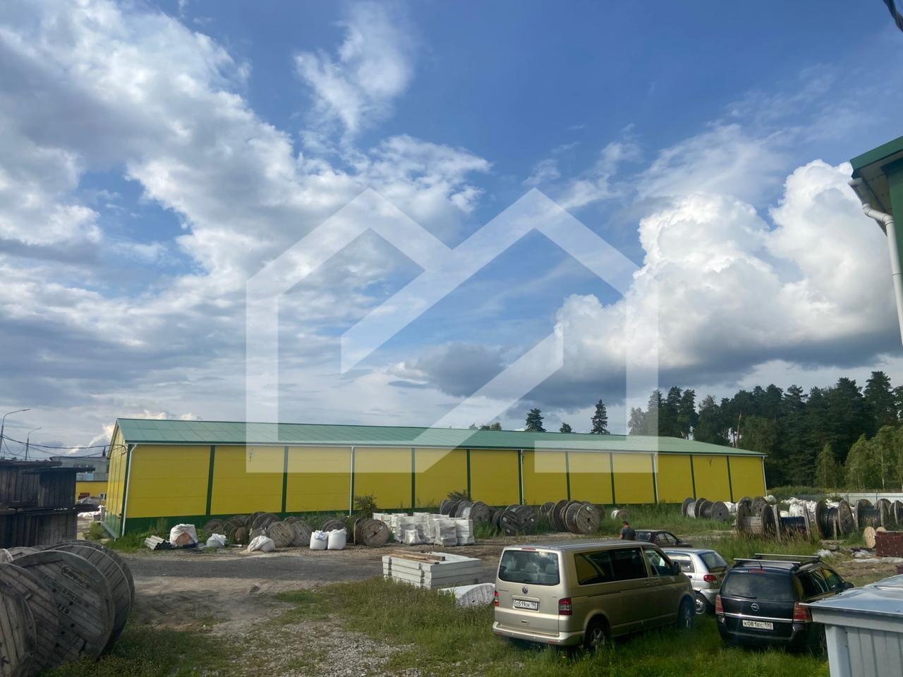 WhatsApp Image 2025-08-12 at 16.40.59 (3).jpeg