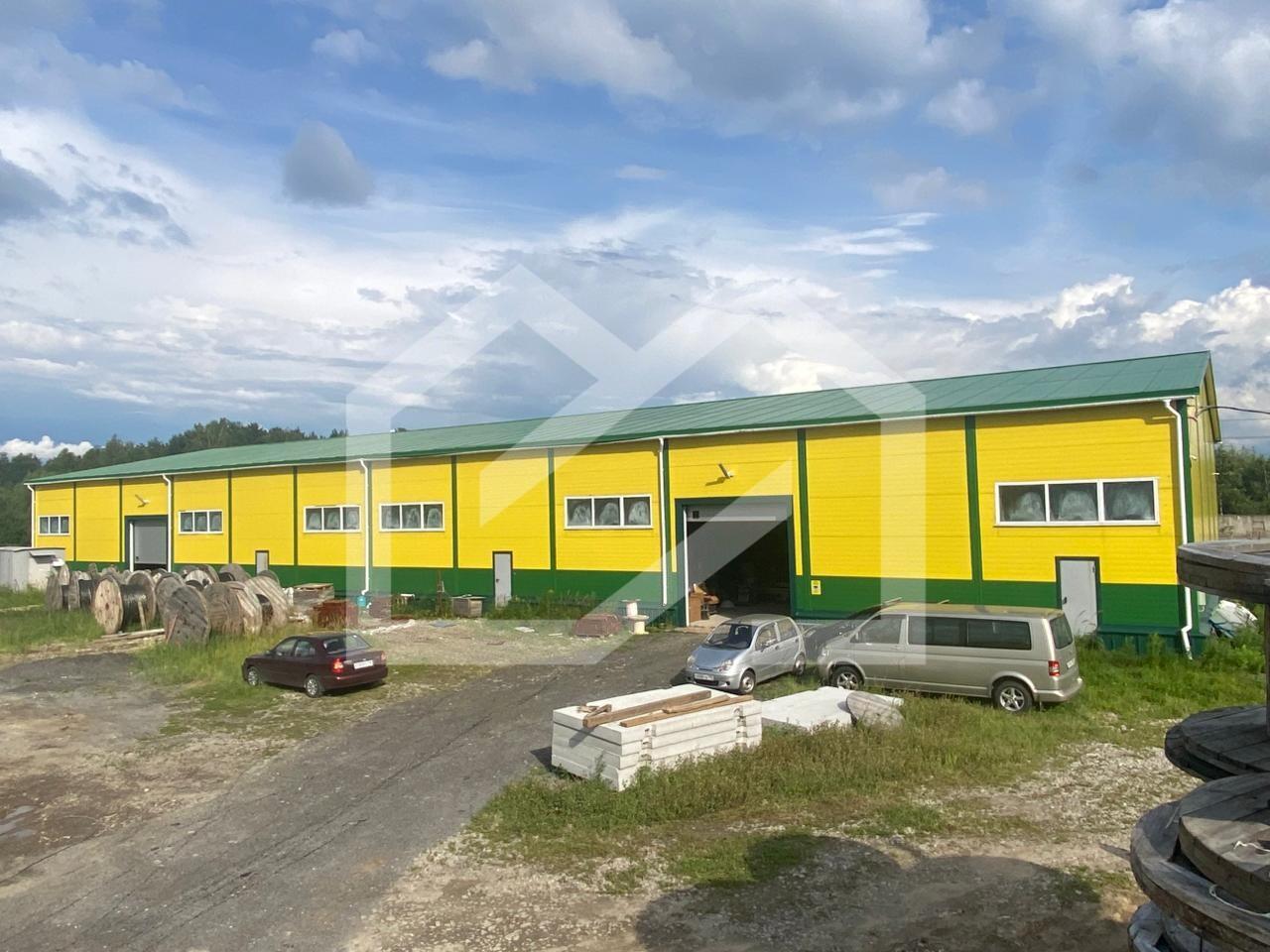 WhatsApp Image 2025-08-12 at 16.40.59.jpeg