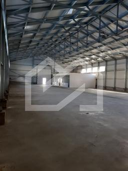 WhatsApp Image 2025-08-13 at 17.08.43.jpeg