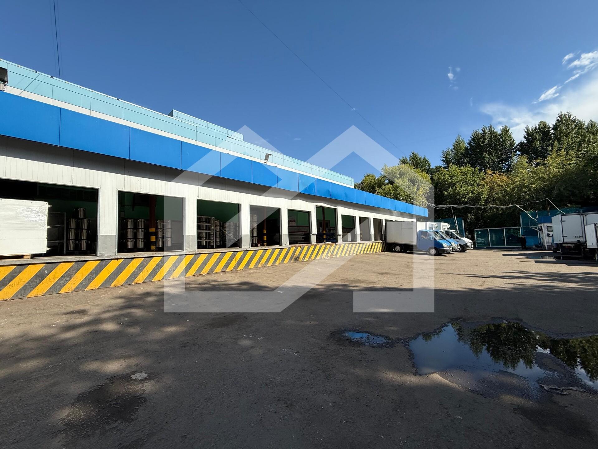 WhatsApp Image 2025-08-13 at 17.00.51.jpeg