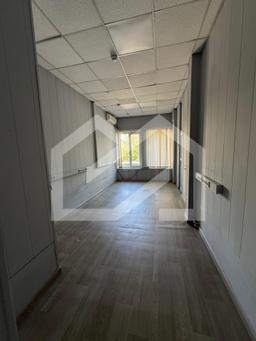 WhatsApp Image 2025-08-13 at 16.56.29 (3).jpeg