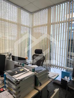 WhatsApp Image 2025-08-11 at 13.24.27.jpeg