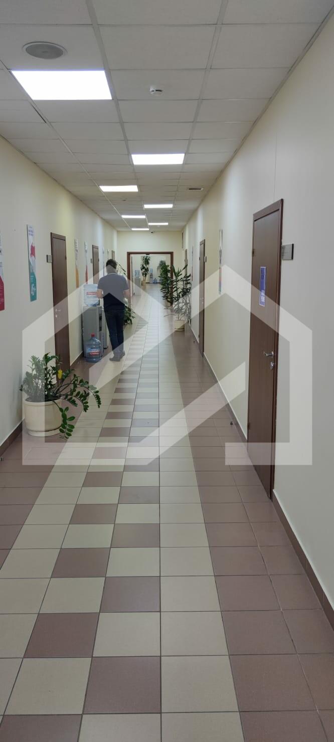 WhatsApp Image 2024-09-16 at 16.03.17.jpeg