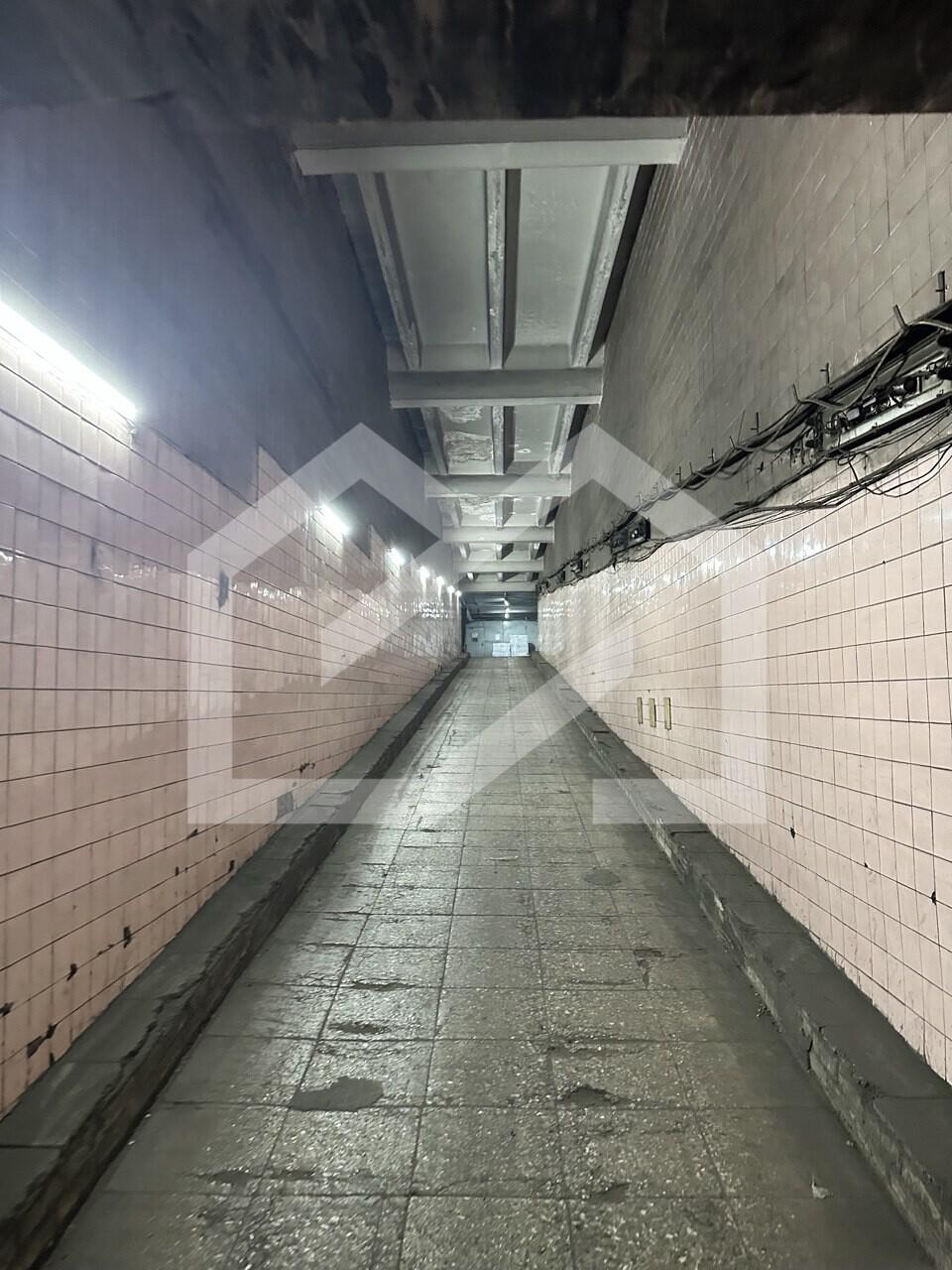 photo_2025-08-21 14.55.37.jpeg