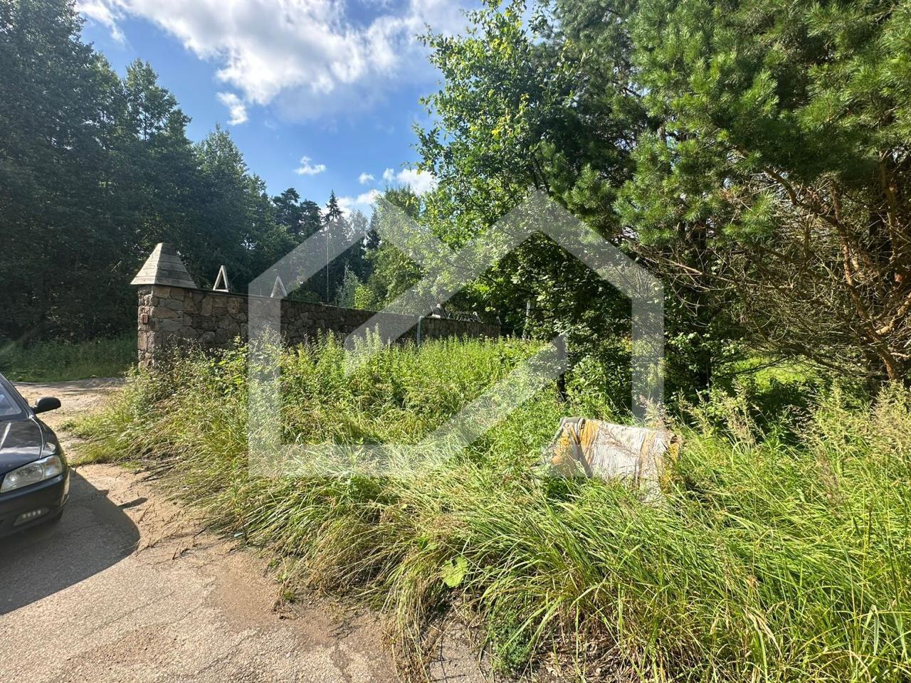 WhatsApp Image 2025-08-26 at 08.21.36.jpeg