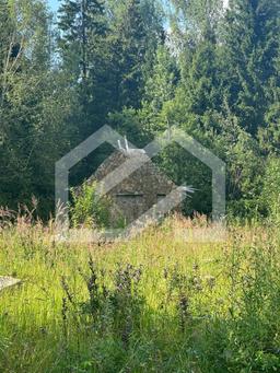 WhatsApp Image 2025-08-26 at 08.21.37 (1).jpeg