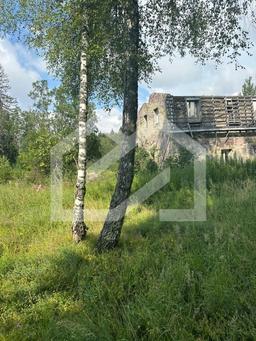 WhatsApp Image 2025-08-26 at 08.21.37 (3).jpeg