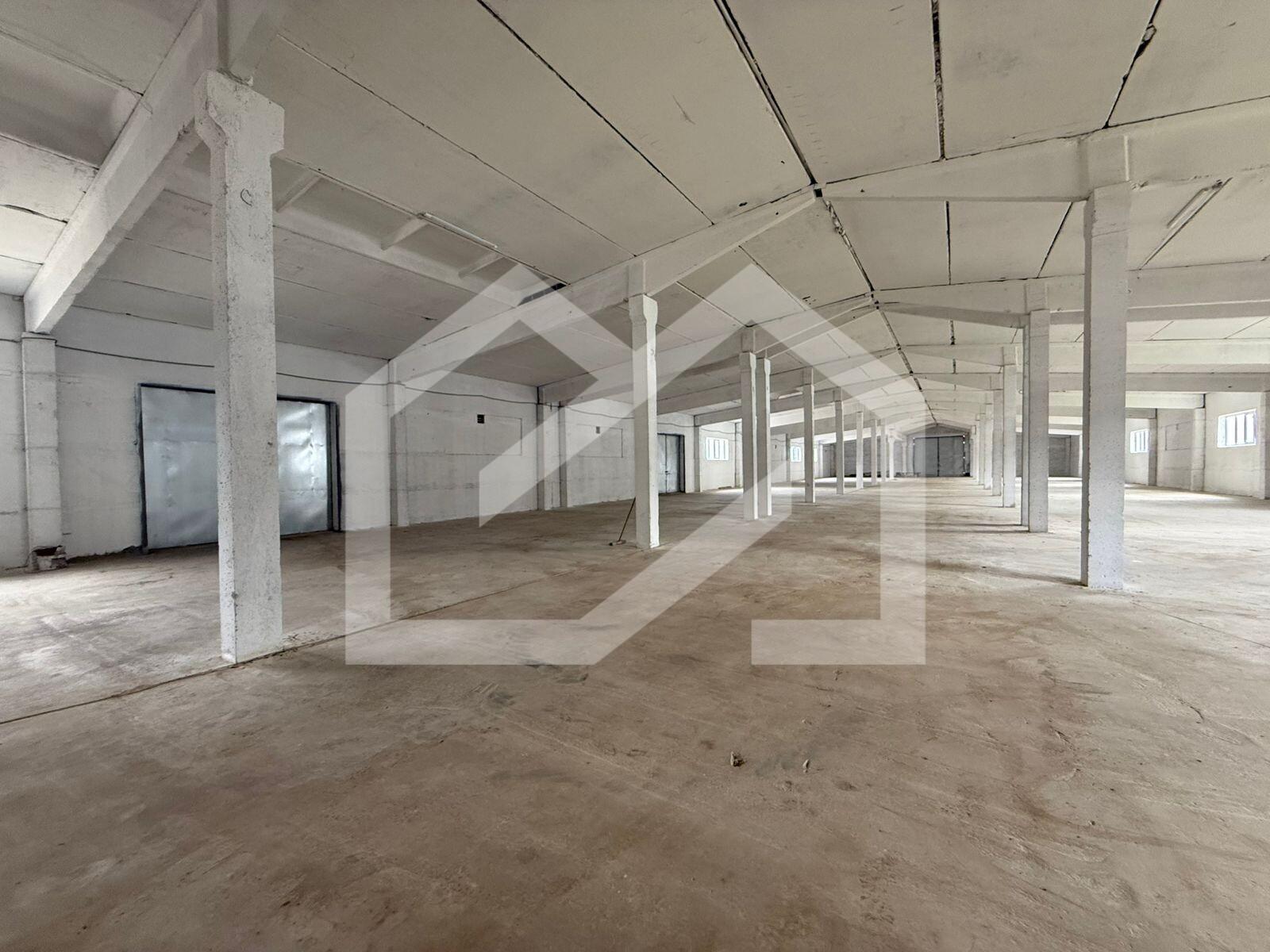 WhatsApp Image 2025-08-28 at 11.19.25 (1).jpeg