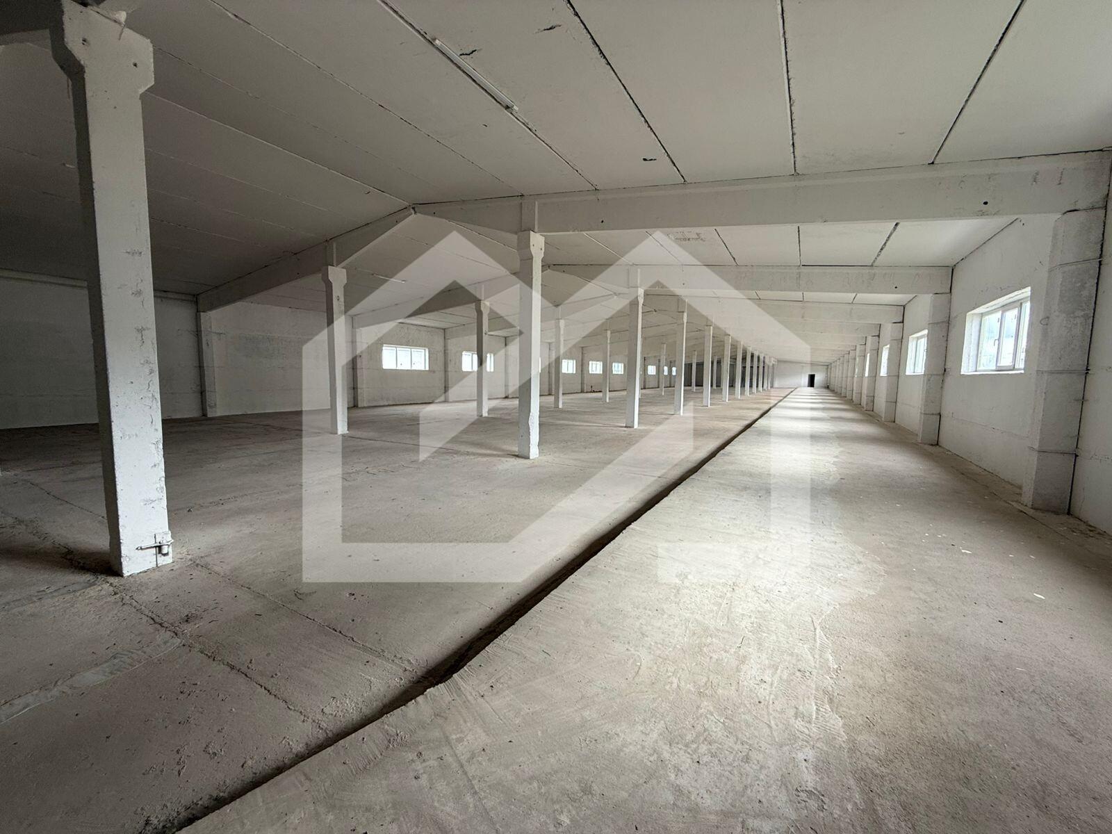 WhatsApp Image 2025-08-28 at 11.19.27 (2).jpeg