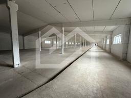 WhatsApp Image 2025-08-28 at 11.19.27 (2).jpeg