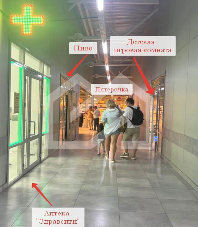 Снимок экрана 2025-08-28 190616.png