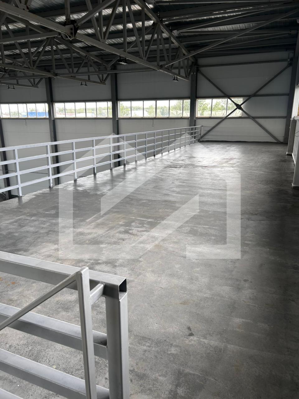 WhatsApp Image 2025-08-29 at 14.10.56 (1).jpeg