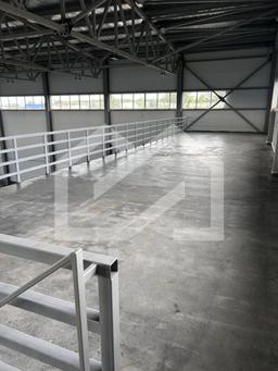 WhatsApp Image 2025-08-29 at 14.10.56 (1).jpeg