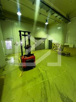 WhatsApp Image 2025-09-05 at 17.41.44 (1).jpeg