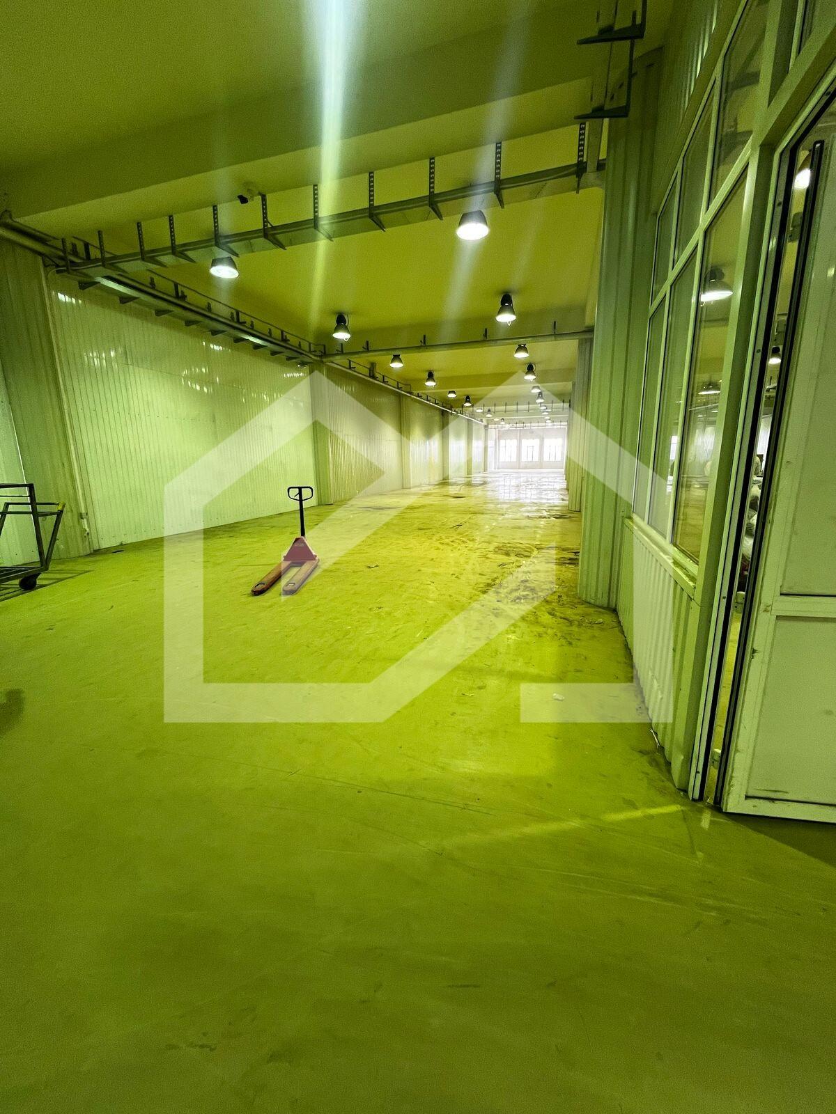 WhatsApp Image 2025-09-05 at 17.41.44 (2).jpeg