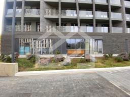 photo_2025-09-12 12.40.19.jpeg