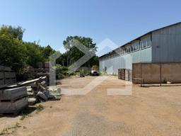 WhatsApp Image 2025-09-11 at 14.54.29.jpeg