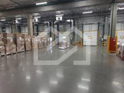 WhatsApp Image 2025-09-18 at 14.05.34.jpeg