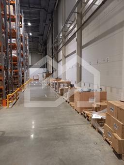 WhatsApp Image 2025-09-18 at 14.06.27.jpeg