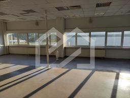 WhatsApp Image 2025-09-18 at 14.10.53.jpeg