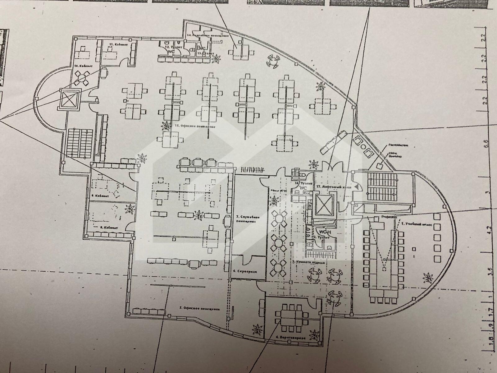 WhatsApp Image 2025-09-15 at 11.50.33.jpeg