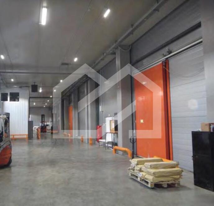 ЗЭ большая 2.jpg