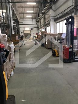 WhatsApp Image 2025-09-17 at 15.20.40.jpeg