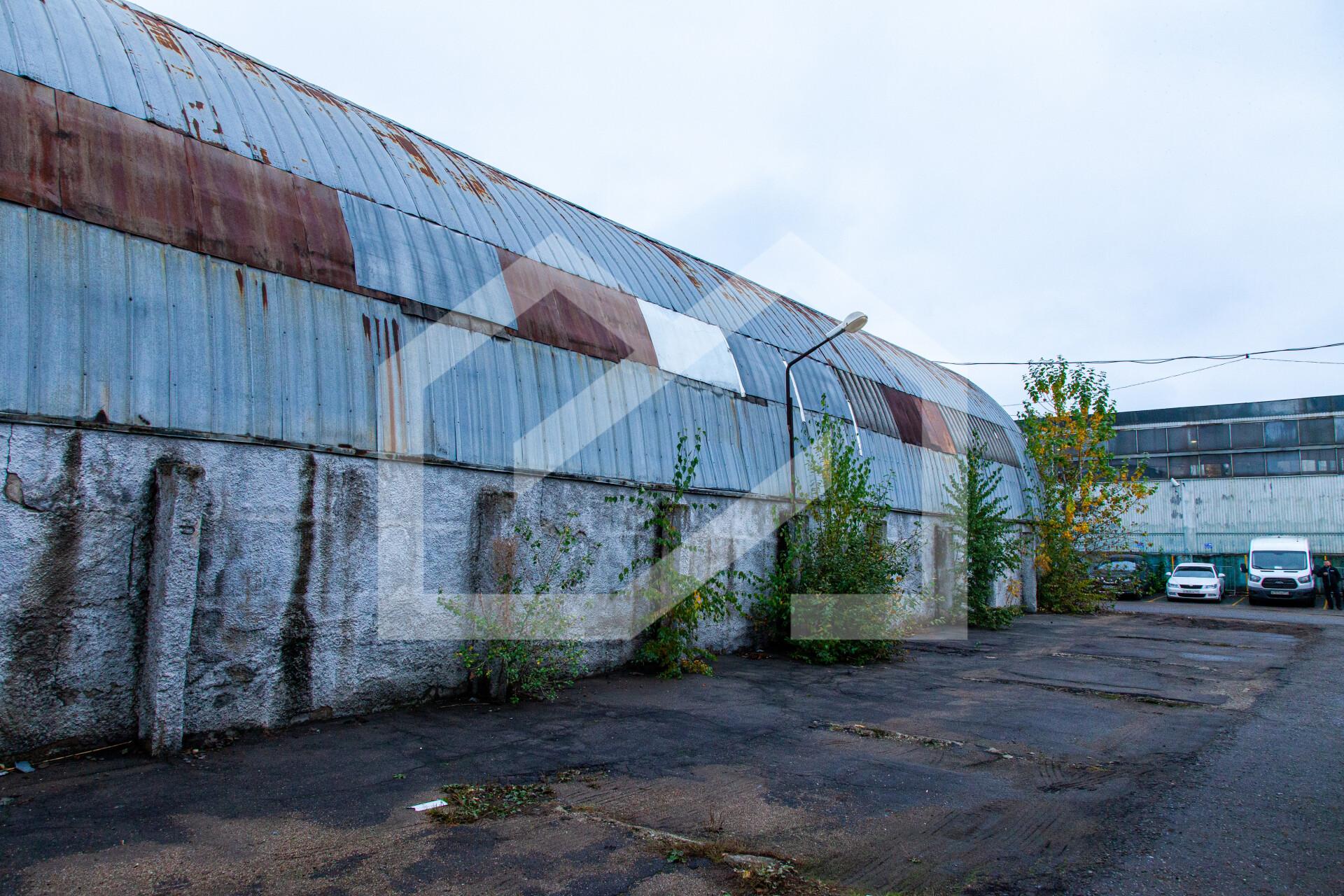 Копия IMG_8939.jpg