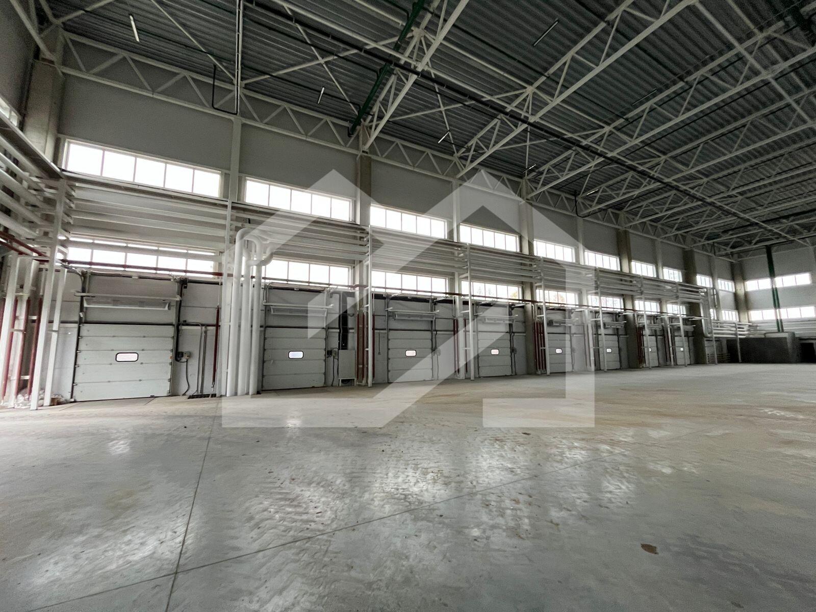 WhatsApp Image 2025-10-22 at 16.37.18.jpeg