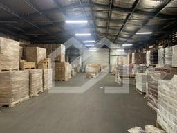 WhatsApp Image 2025-07-14 at 13.59.57 (3).jpeg