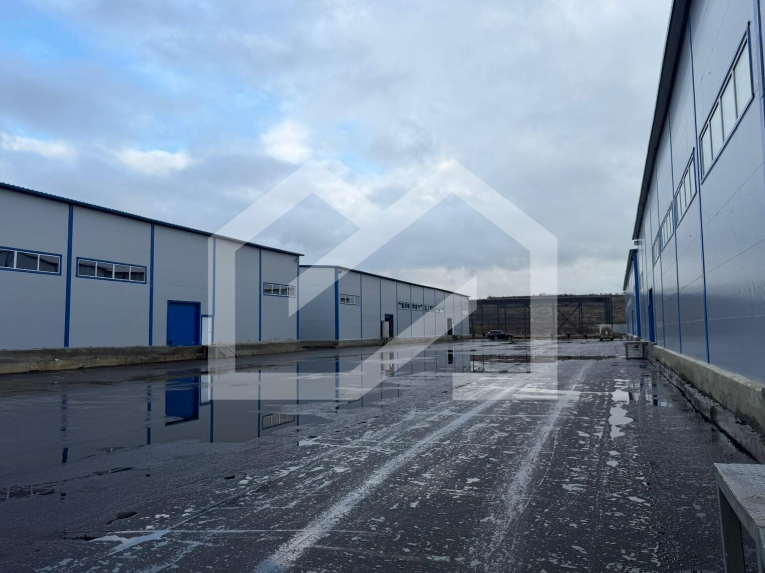 WhatsApp Image 2025-12-12 at 15.42.52.jpeg