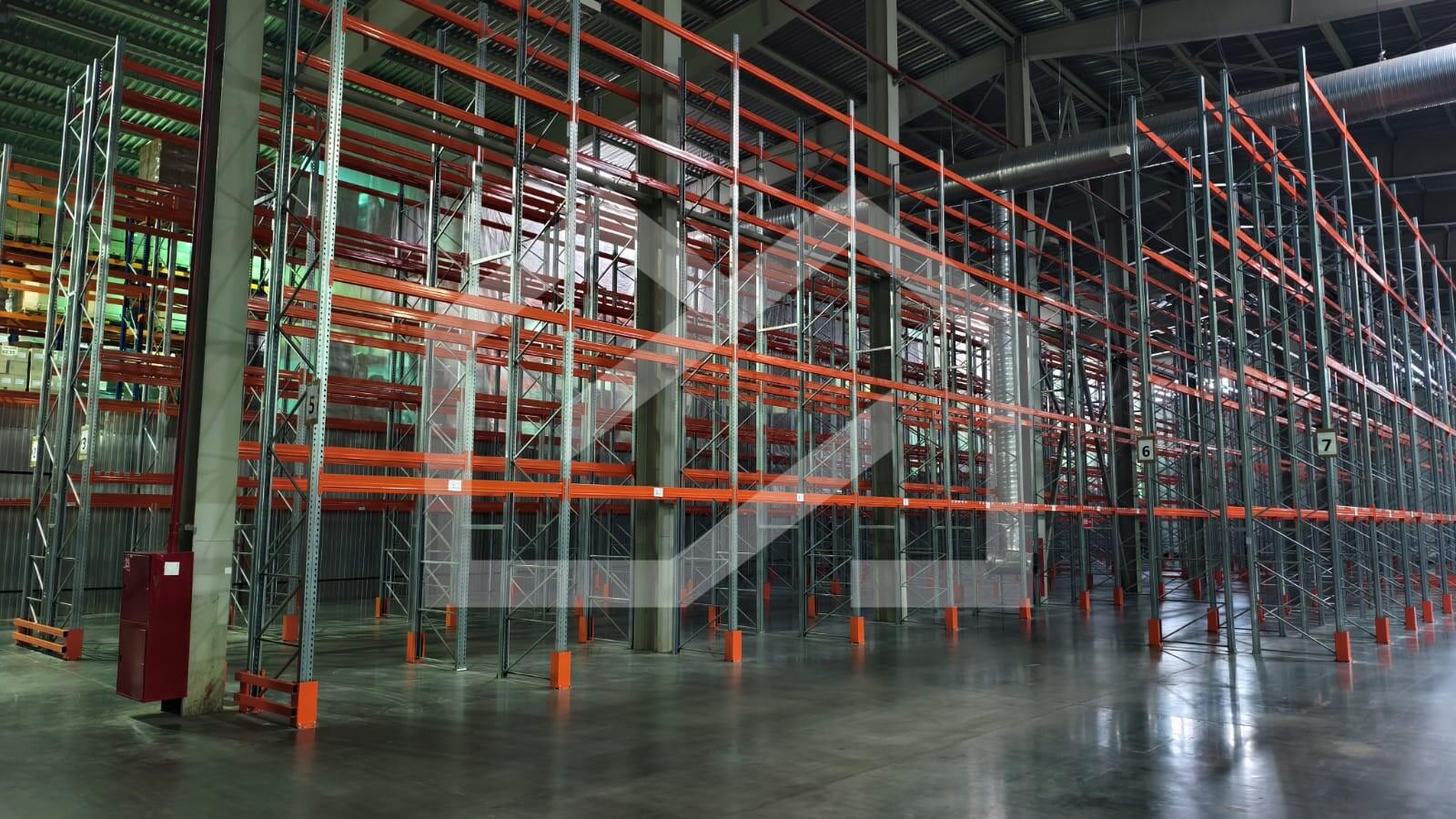 WhatsApp Image 2025-10-02 at 10.17.41.jpeg