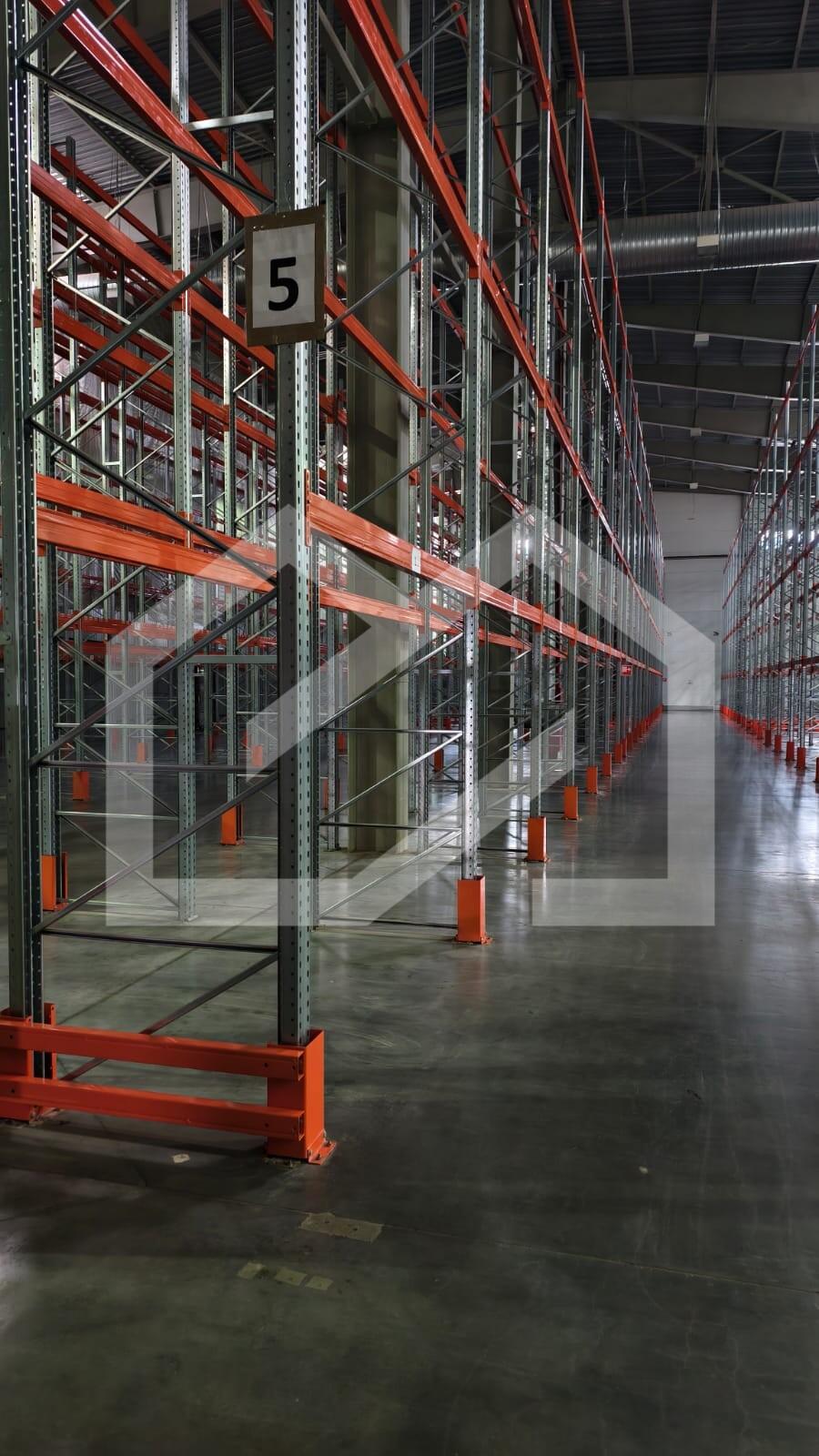 WhatsApp Image 2025-10-02 at 10.17.41 (1).jpeg