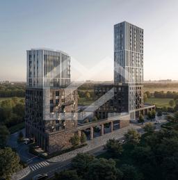 Снимок экрана 2025-10-13 в 13.04.37.png