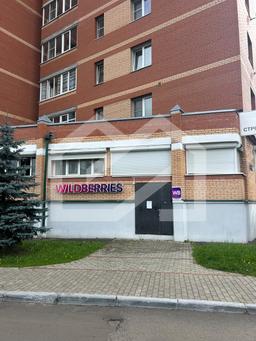 WhatsApp Image 2025-10-13 at 17.31.10.jpeg