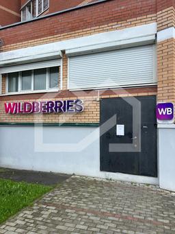 WhatsApp Image 2025-10-13 at 17.31.09 (3).jpeg