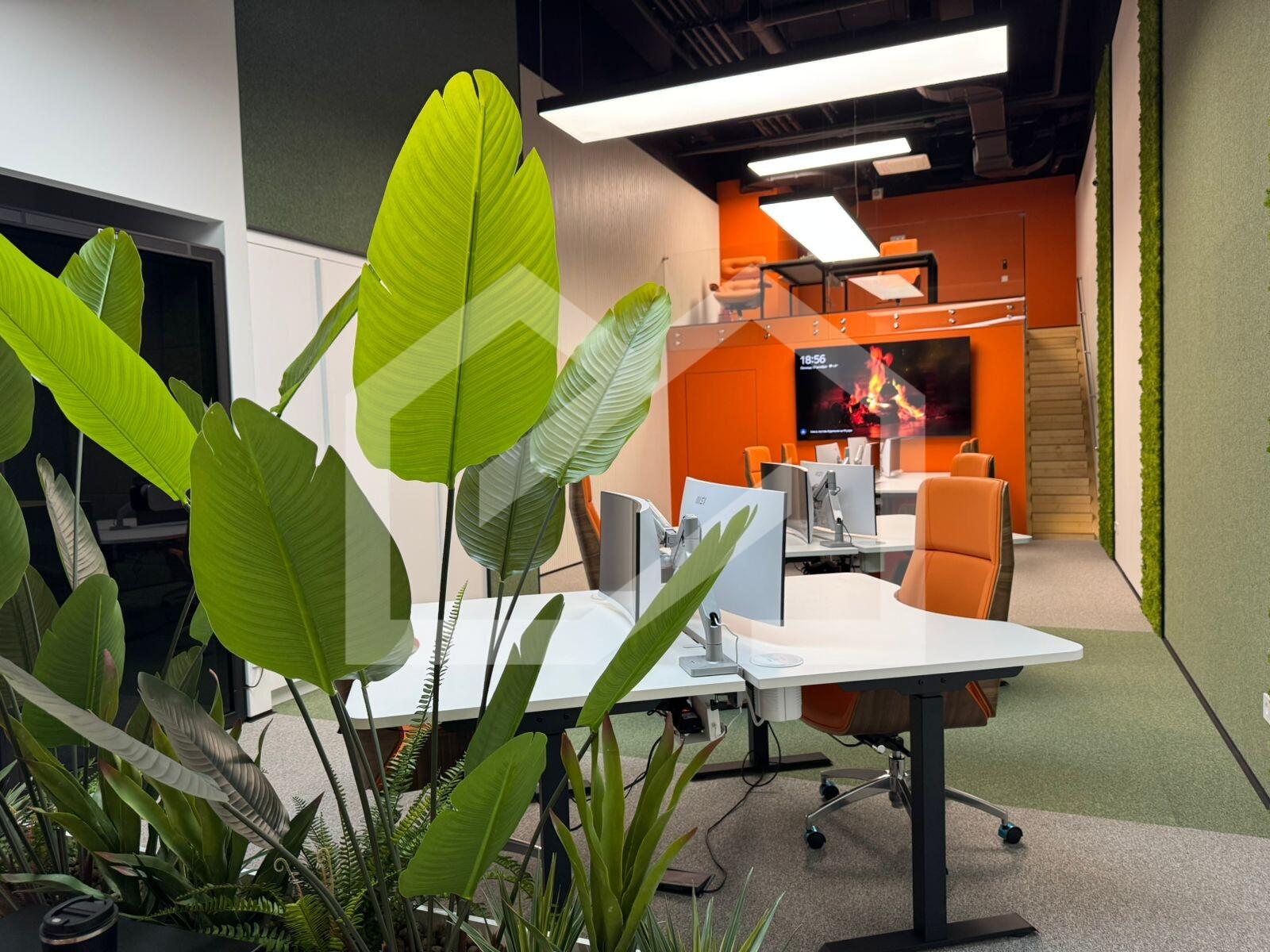 8d648e7d-4443-4ae7-ba72-017fcb15c6b5.jfif