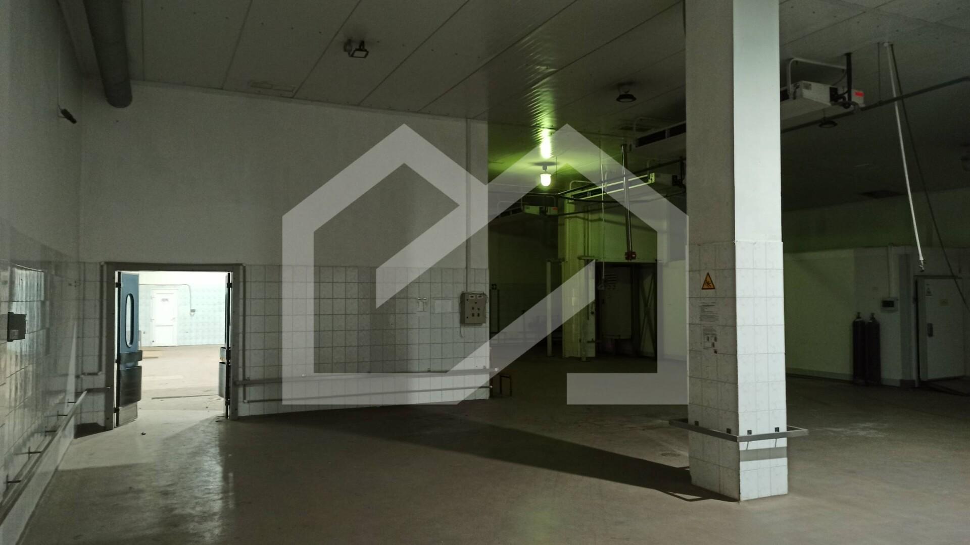 Цех с камерой шок заморозки .jpg