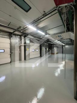 WhatsApp Image 2025-11-11 at 13.18.49 (2).jpeg