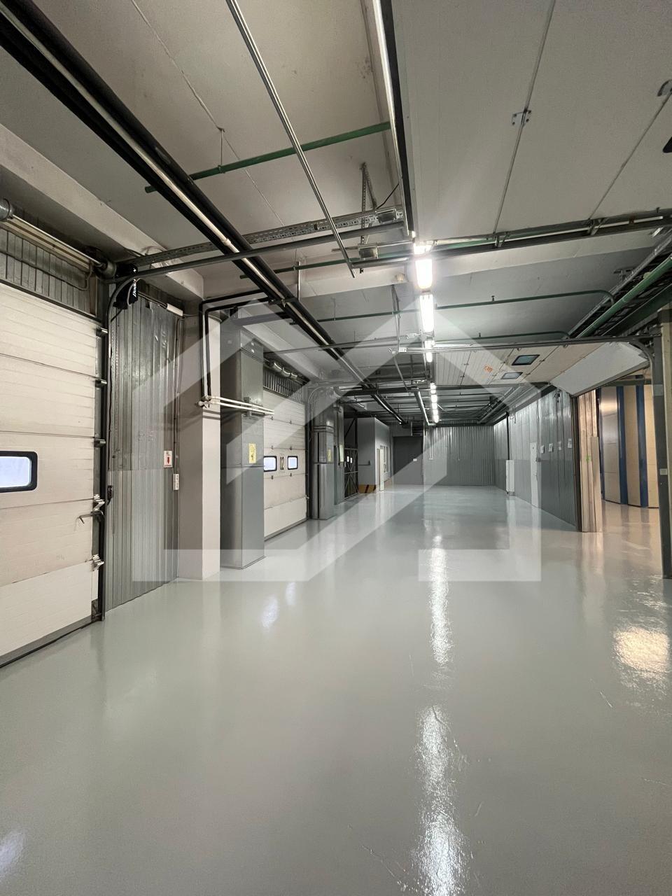 WhatsApp Image 2025-11-11 at 13.18.50 (1).jpeg