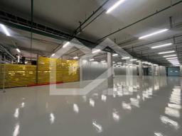 WhatsApp Image 2025-11-11 at 13.18.49.jpeg