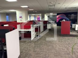 WhatsApp Image 2025-11-25 at 16.41.46.jpeg