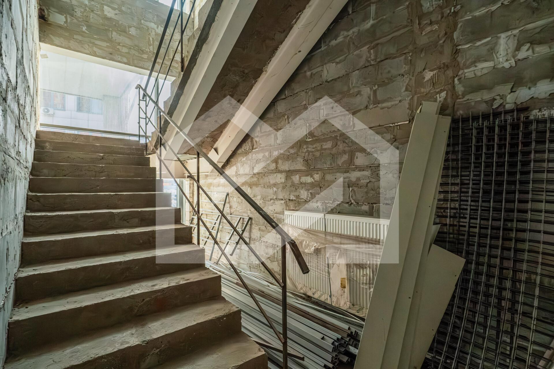 Копия DSC04529-Enhanced-NR.jpg