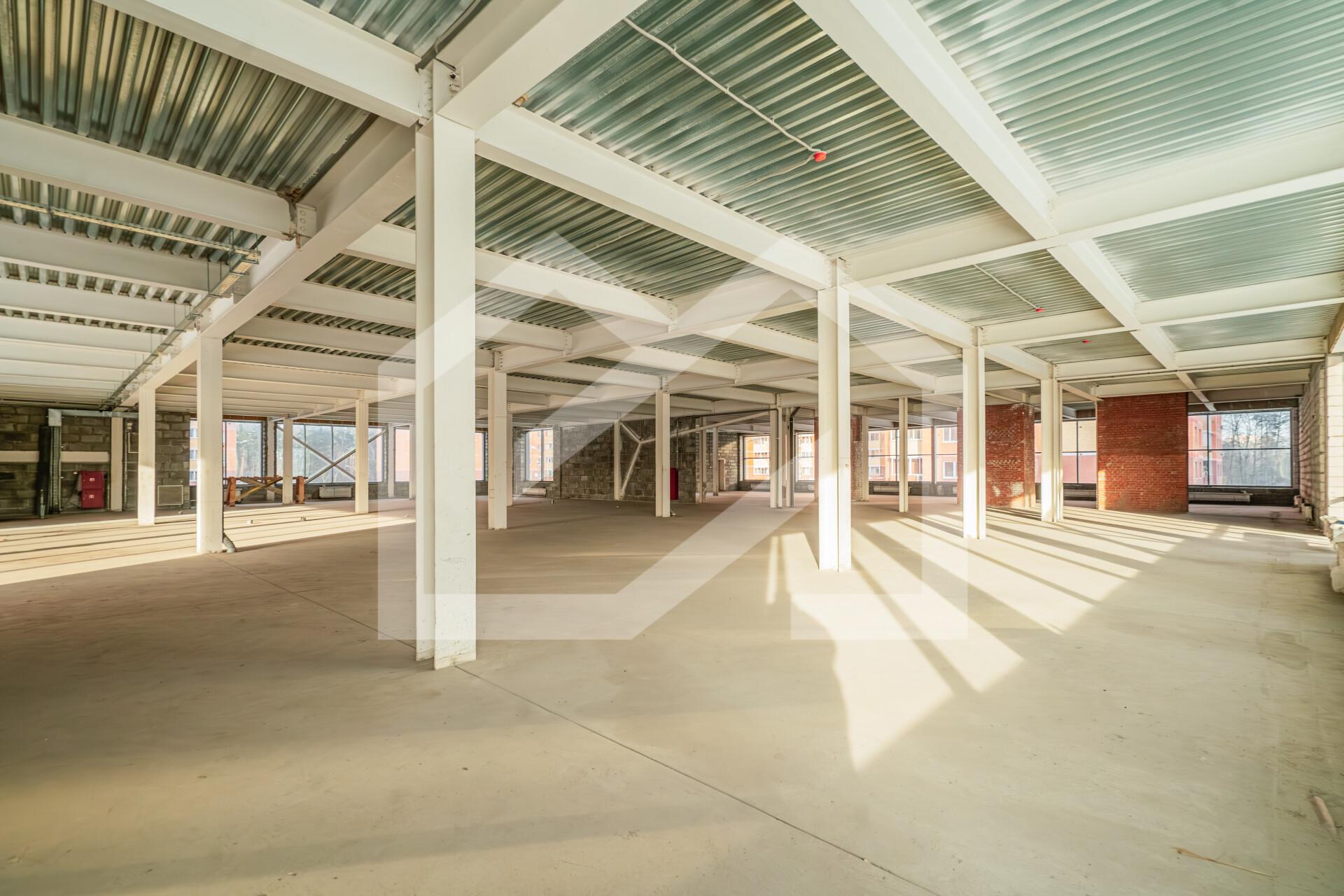 Копия DSC04439-Enhanced-NR.jpg