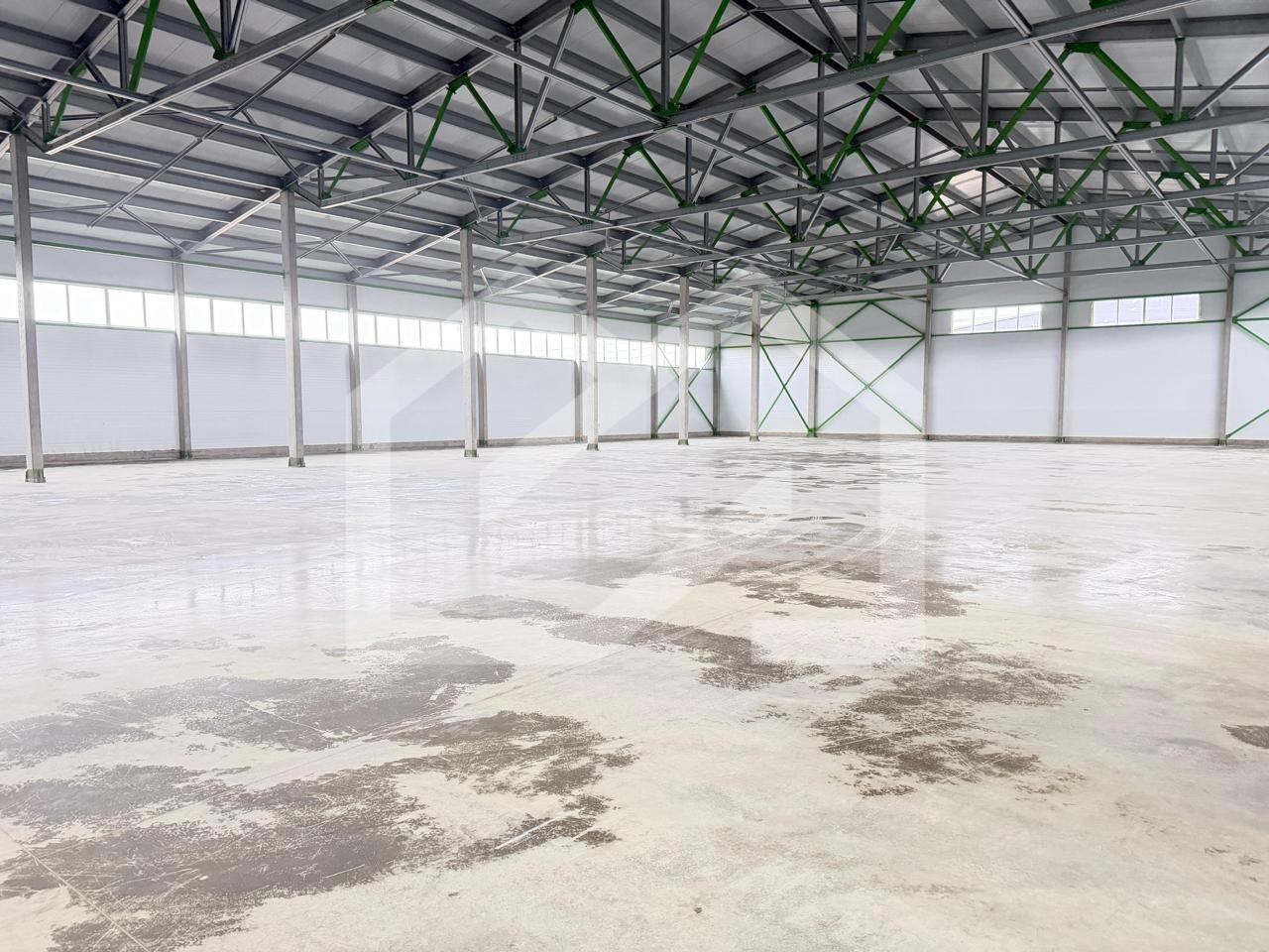 WhatsApp Image 2025-11-25 at 19.32.48 (1).jpeg