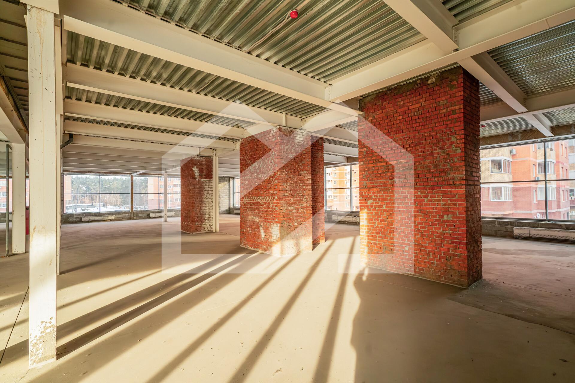 Копия DSC04450-Enhanced-NR.jpg